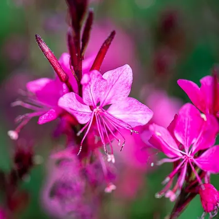 Dimensione Armonica - Elegance And Comfort Among Lakes And Hills Willa Comabbio