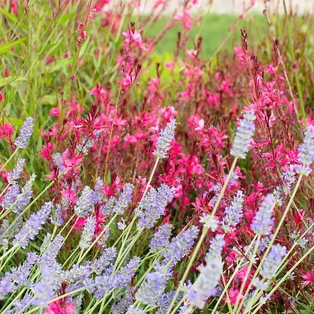 Dimensione Armonica - Elegance And Comfort Among Lakes And Hills Comabbio