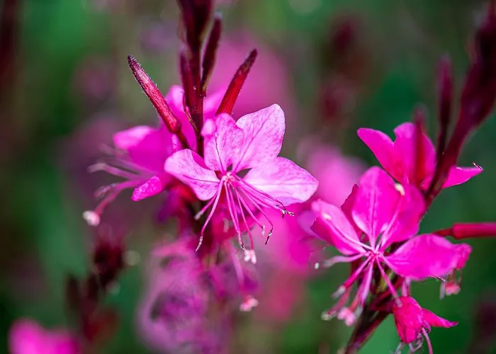 Dimensione Armonica - Elegance And Comfort Among Lakes And Hills Willa Comabbio