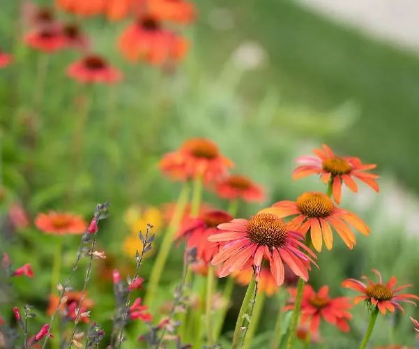 Dimensione Armonica - Elegance And Comfort Among Lakes And Hills Willa