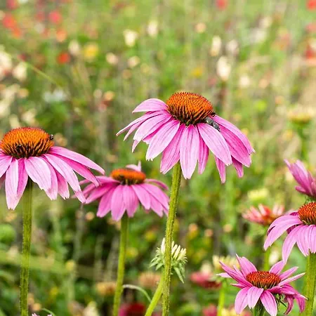 Villa Dimensione Armonica - Elegance And Comfort Among Lakes And Hills