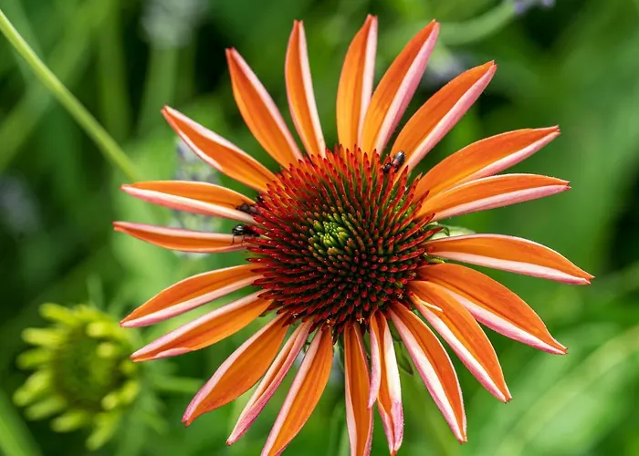 Dimensione Armonica - Elegance And Comfort Among Lakes And Hills *