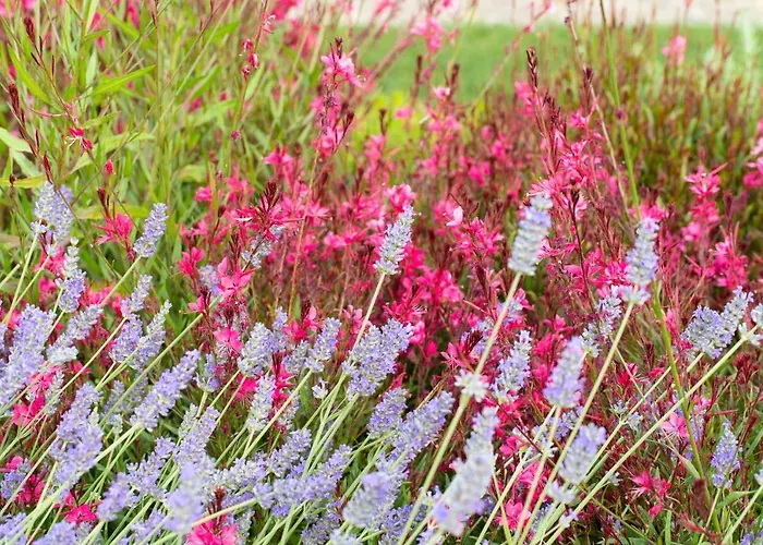 Dimensione Armonica - Elegance And Comfort Among Lakes And Hills Comabbio