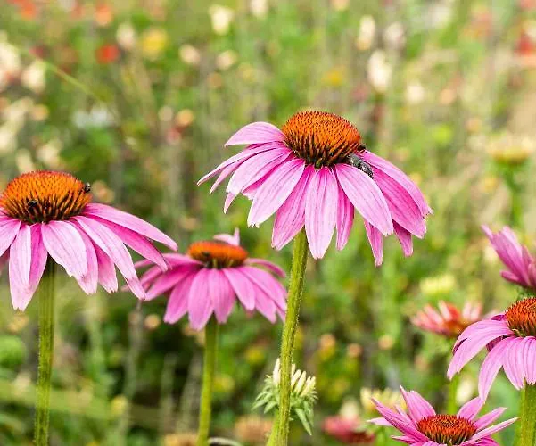 빌라 Dimensione Armonica - Elegance And Comfort Among Lakes And Hills